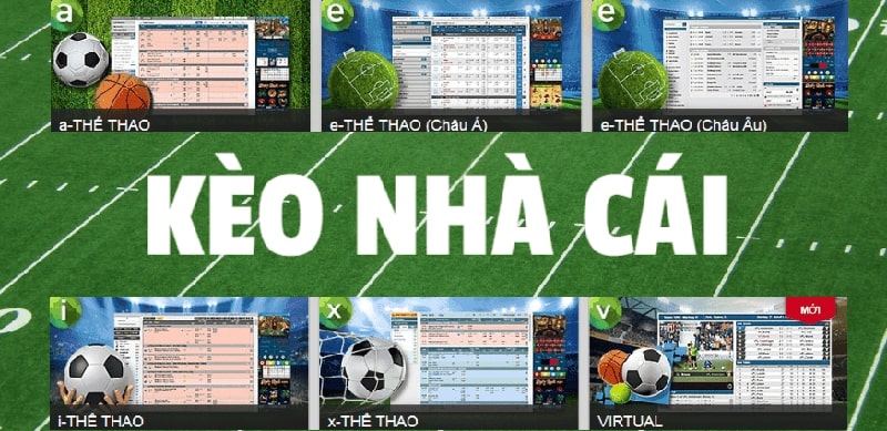 Theo dõi sát sao nhà cái để đánh giá xu hướng trận đấu